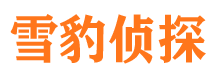 合山找人公司